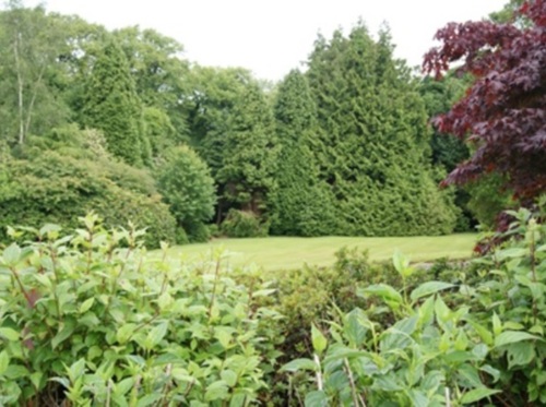 Landscape Centre Ltd - winner Commercial & Public Authority Maintenance